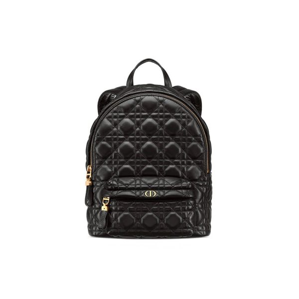 12d631a274cd24802f3594542560ca51 SMALL DIOR BACKPACK