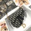 DiOr MINI SADDLE BAG
