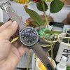 Speedmaster “Dark Side of the Moon” Ceramic, 311.92.44.51.01.006