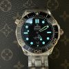 Seahorse Ocean Universe 300 meters,210.20.42.20.01.002