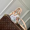 LV x TM Nano Speedy Bag