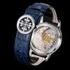 Patek Philippe Super Complication Timepiece 6102P-001, Super Luminous